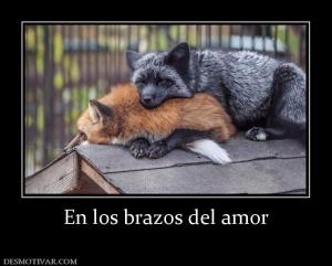 En los brazos del amor