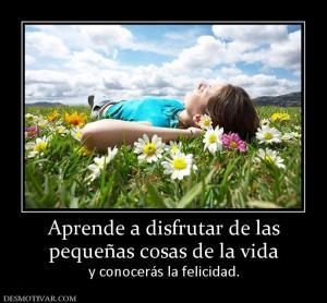 Aprende a disfrutar de las pequeñas cosas de la vida y conocerás la felicidad.