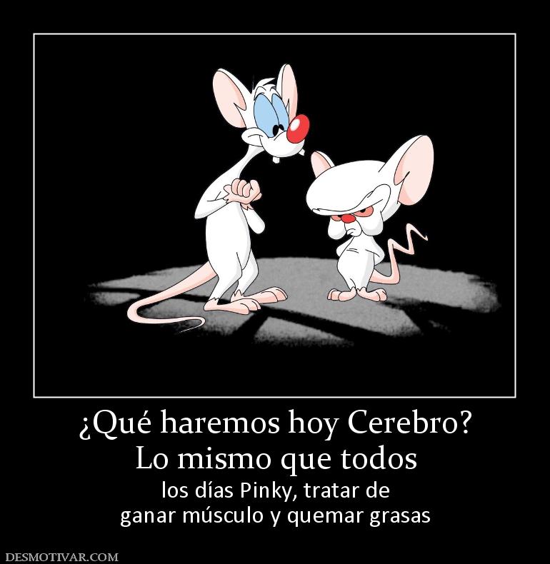 ¿Qué haremos hoy Cerebro? Lo mismo que todos los días Pinky, tratar de ganar músculo y quemar grasas