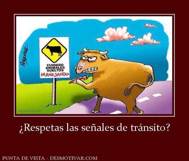 ¿Respetas las señales de tránsito?