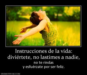 Instrucciones de la vida: diviértete, no lastimes a nadie, no te rindas y esfuérzate por ser feliz.