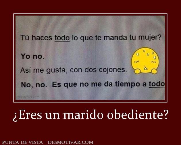 ¿Eres un marido obediente?