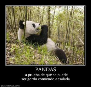 PANDAS La prueba de que se puede ser gordo comiendo ensalada