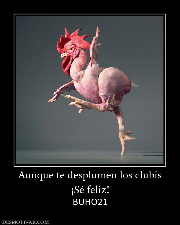 Aunque te desplumen los clubis ¡Sé feliz! BUHO21