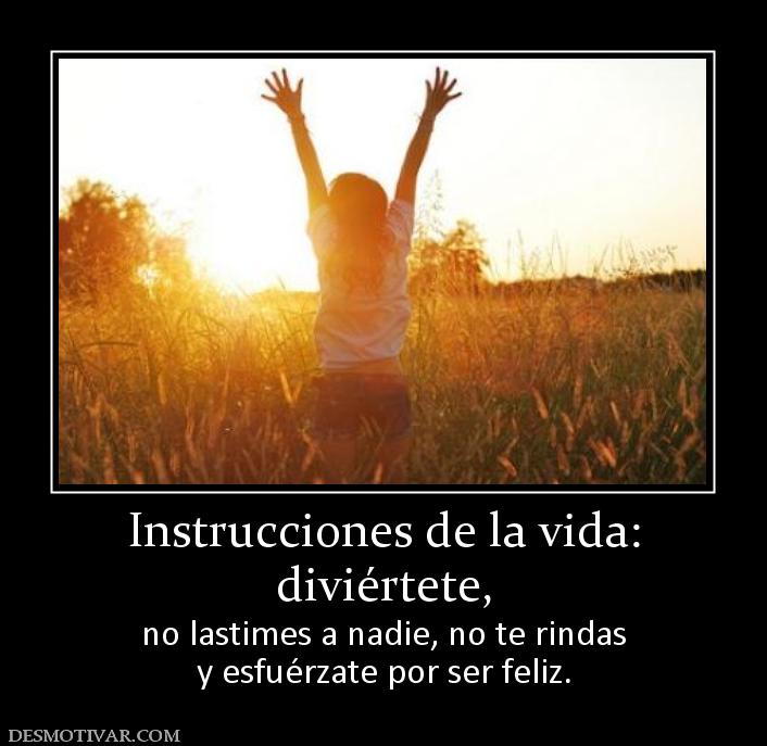 Instrucciones de la vida: diviértete,  no lastimes a nadie, no te rindas y esfuérzate por ser feliz.