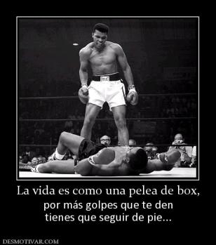 La vida es como una pelea de box, por más golpes que te den tienes que seguir de pie...