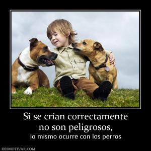 Si se crían correctamente no son peligrosos, lo mismo ocurre con los perros