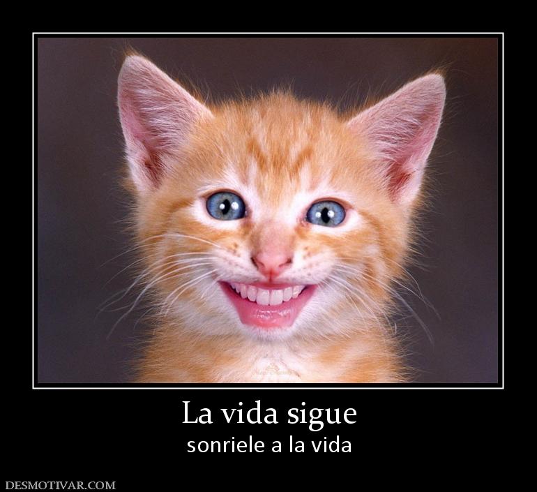 La vida sigue sonriele a la vida