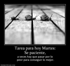 Tarea para hoy Martes: Se paciente, a veces hay que pasar por lo  peor para conseguir lo mejor.