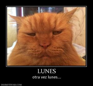 LUNES otra vez lunes...