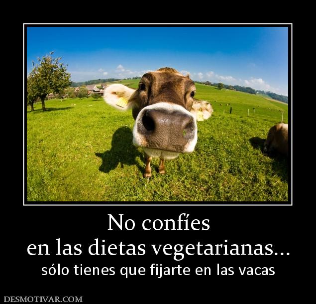 No confíes en las dietas vegetarianas... sólo tienes que fijarte en las vacas