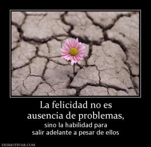 La felicidad no es ausencia de problemas,  sino la habilidad para salir adelante a pesar de ellos