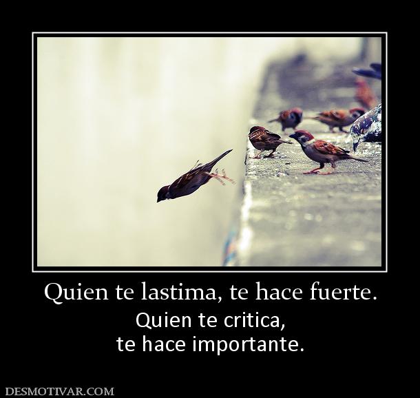 Quien te lastima, te hace fuerte. Quien te critica, te hace importante.