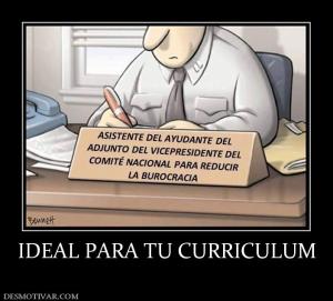 IDEAL PARA TU CURRICULUM