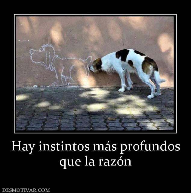 Hay instintos más profundos que la razón