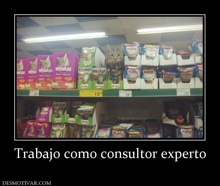 Trabajo como consultor experto