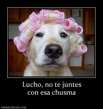 Lucho, no te juntes con esa chusma