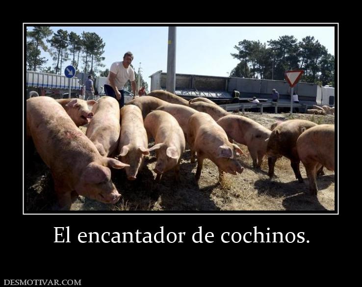 El encantador de cochinos.