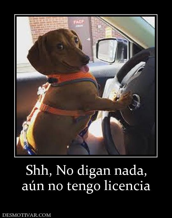 Shh, No digan nada, aún no tengo licencia