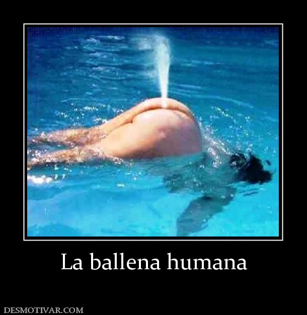 La ballena humana