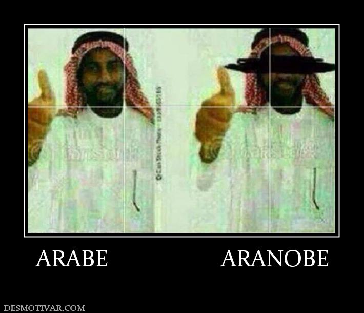 ARABE                    ARANOBE