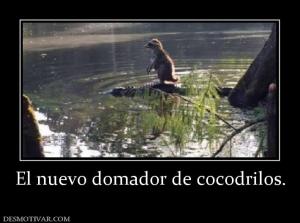 El nuevo domador de cocodrilos.