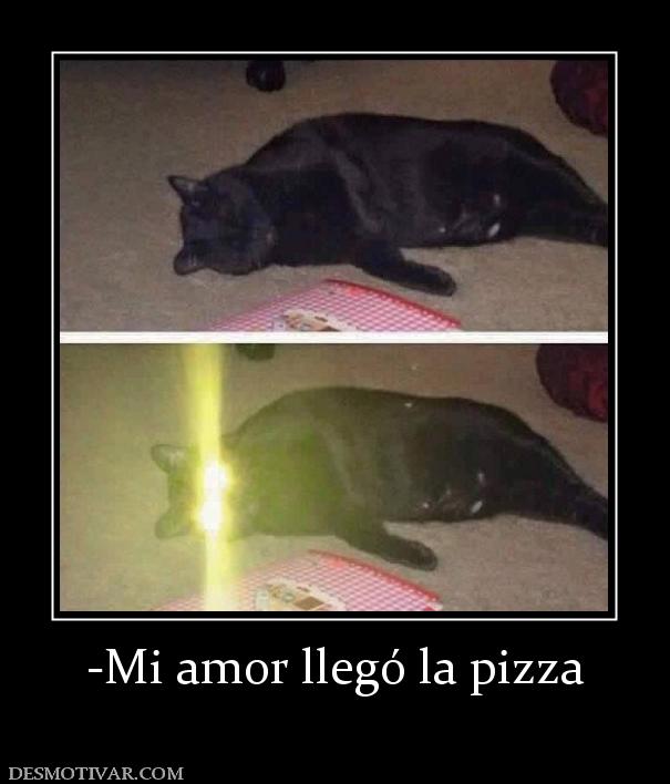 -Mi amor llegó la pizza