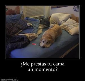 ¿Me prestas tu cama un momento?