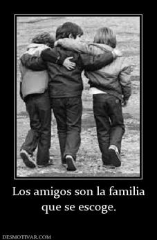 Los amigos son la familia que se escoge.