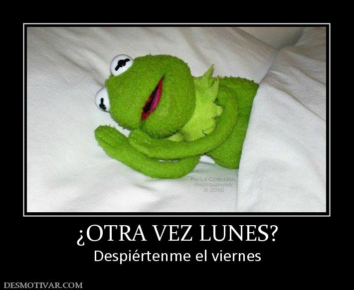 ¿OTRA VEZ LUNES? Despiértenme el viernes