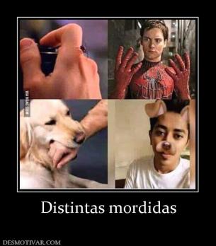 Distintas mordidas