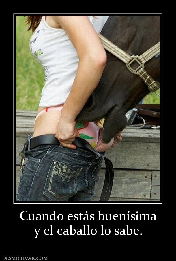 Cuando estás buenísima y el caballo lo sabe.