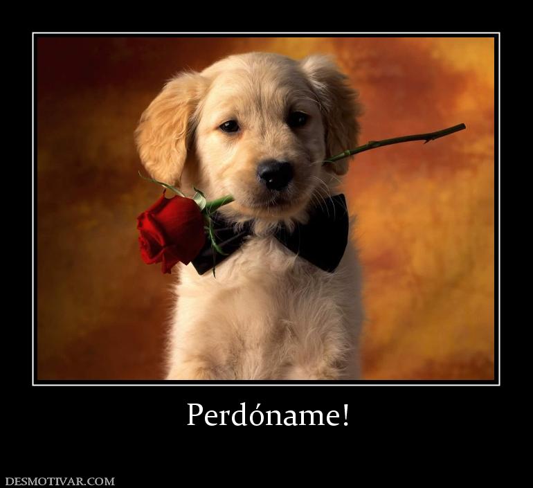 Perdóname!