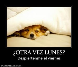 ¿OTRA VEZ LUNES? Despiertenme el viernes