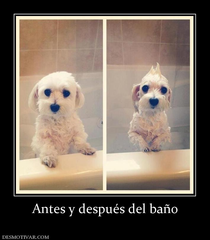 Antes y después del baño