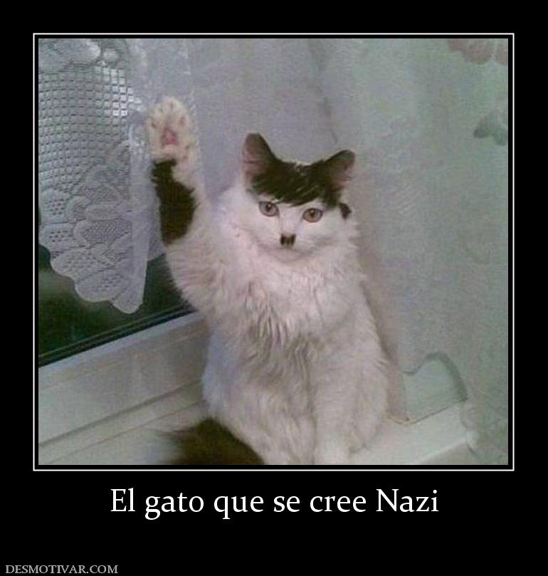 El gato que se cree Nazi