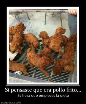 Si pensaste que era pollo frito... Es hora que empieces la dieta