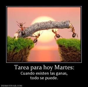 Tarea para hoy Martes: Cuando existen las ganas, todo se puede.