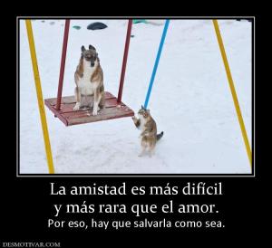 La amistad es más difícil y más rara que el amor.  Por eso, hay que salvarla como sea.