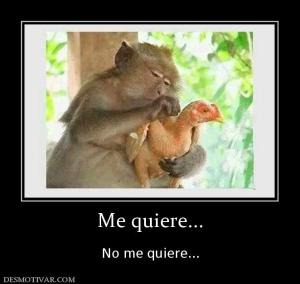 Me quiere...  No me quiere...