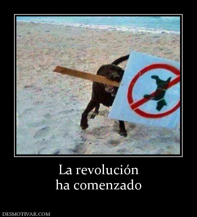 La revolución ha comenzado