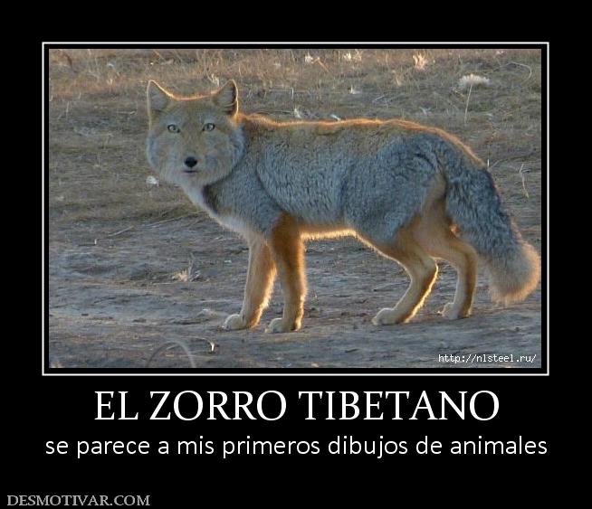 EL ZORRO TIBETANO se parece a mis primeros dibujos de animales