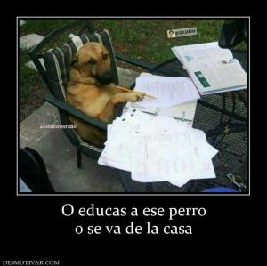 O educas a ese perro o se va de la casa