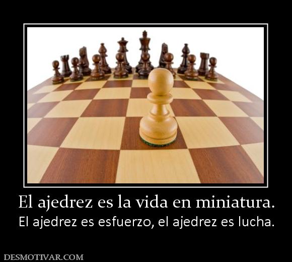 El ajedrez es la vida en miniatura. El ajedrez es esfuerzo, el ajedrez es lucha.