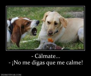 - Cálmate... - ¡No me digas que me calme!