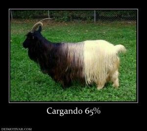 Cargando 65%