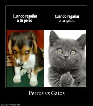 Perros vs Gatos