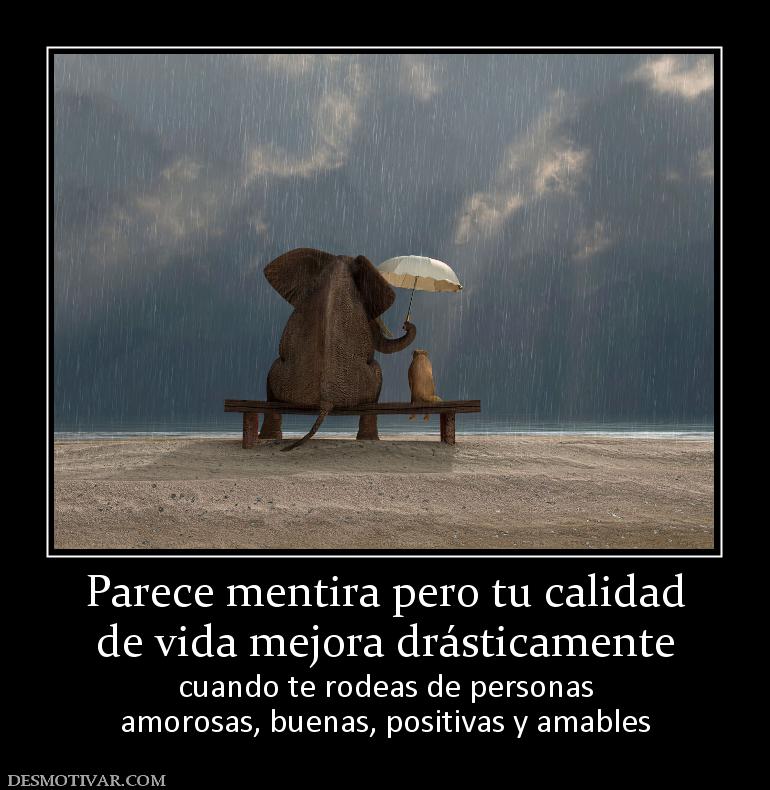 Parece mentira pero tu calidad de vida mejora drásticamente cuando te rodeas de personas amorosas, buenas, positivas y amables