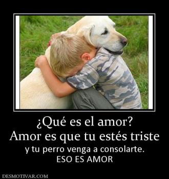 ¿Qué es el amor? Amor es que tu estés triste y tu perro venga a consolarte. ESO ES AMOR