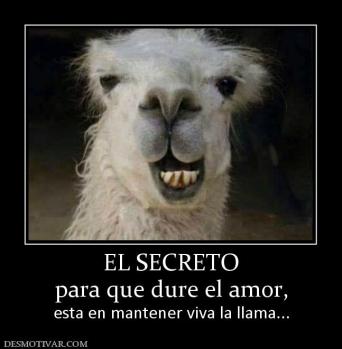 EL SECRETO para que dure el amor, esta en mantener viva la llama...